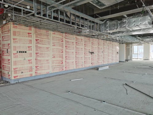 千年舟 绿色工程行 走进北京京东集团总部项目现场