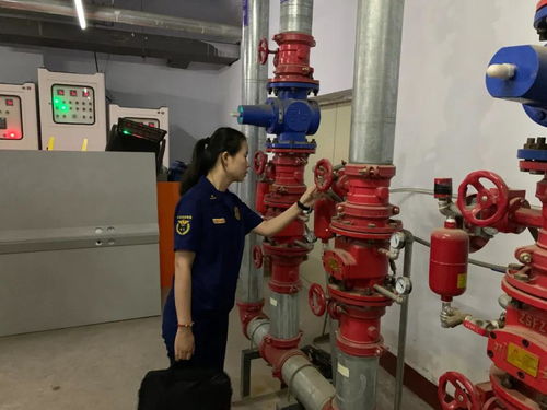 忻州支队开展2021年全市消防技术服务机构专项检查行动